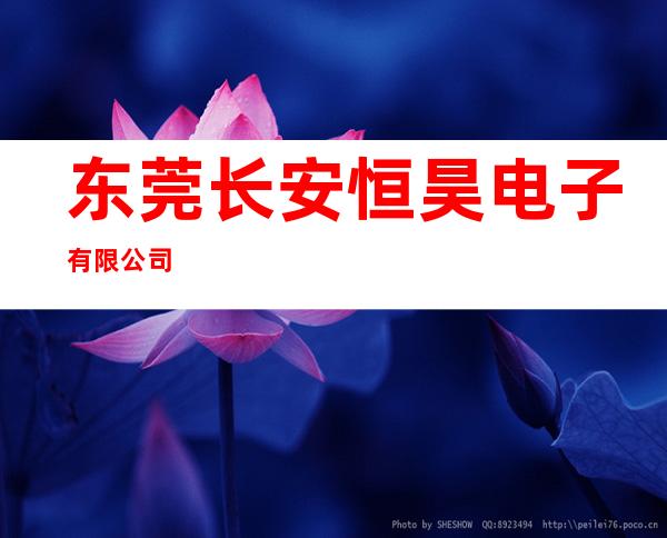 东莞长安恒昊电子有限公司
