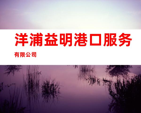 洋浦益明港口服务有限公司