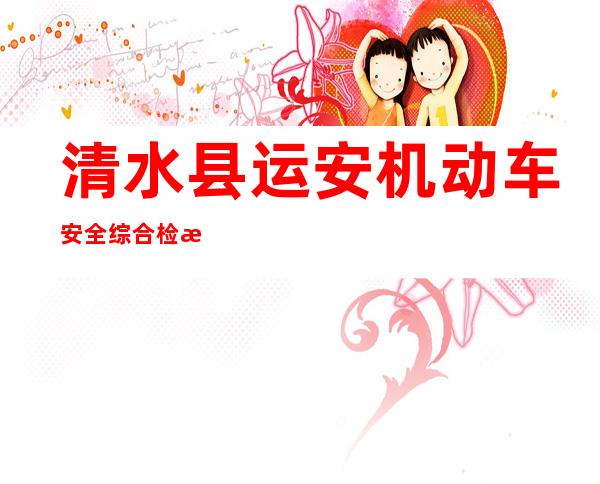 清水县运安机动车安全综合检测有限公司