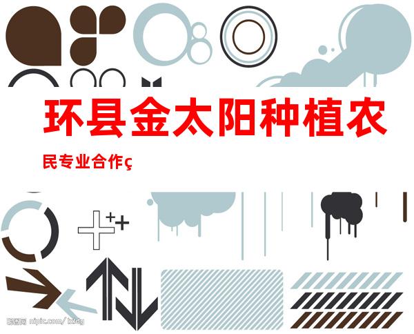 环县金太阳种植农民专业合作社