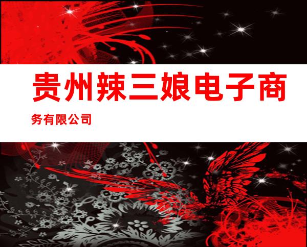 贵州辣三娘电子商务有限公司