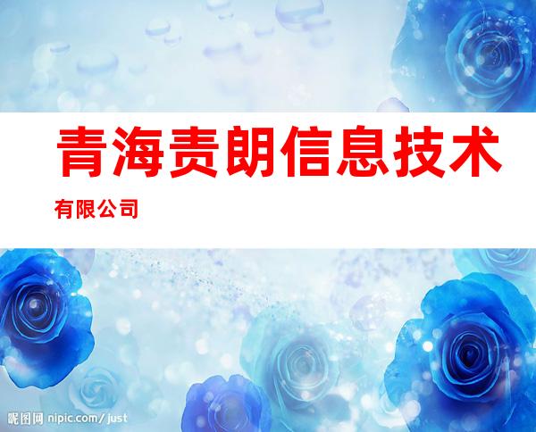 青海责朗信息技术有限公司